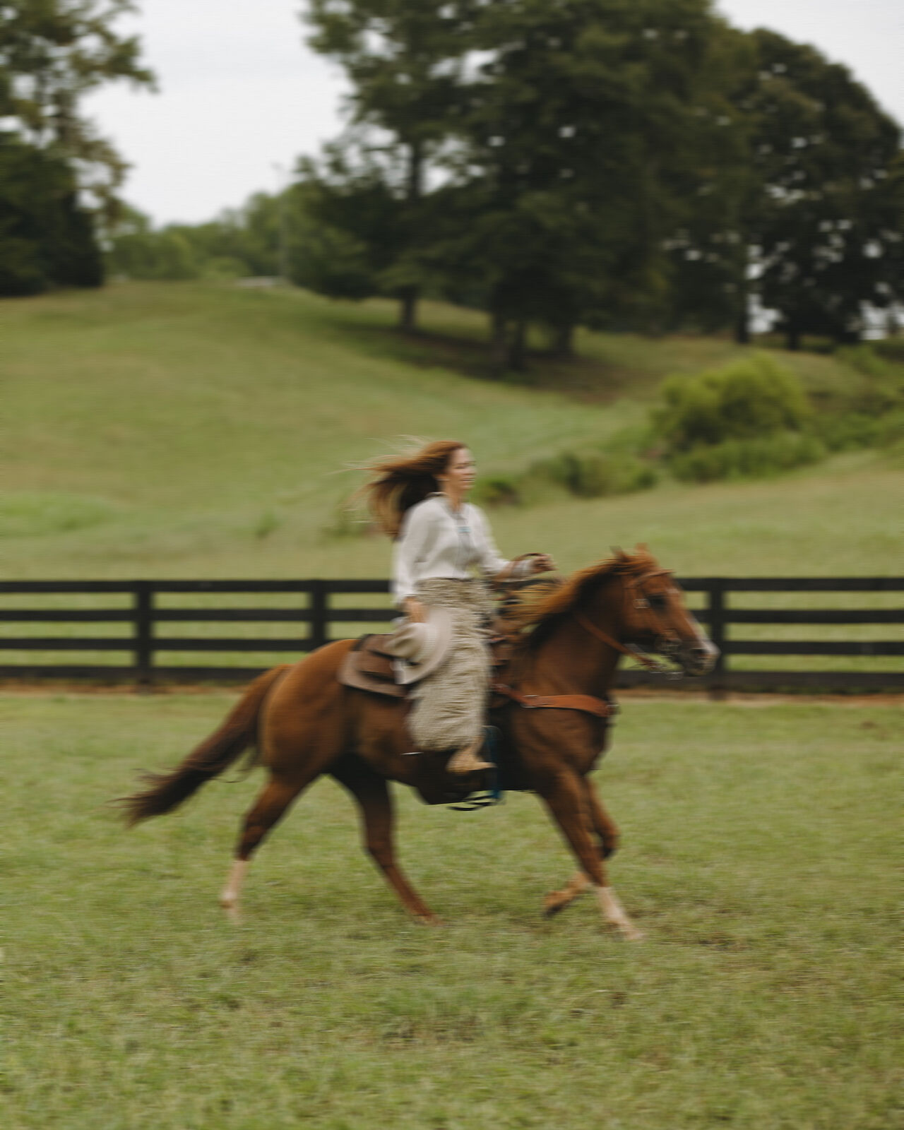 Rider galloping along a fence line